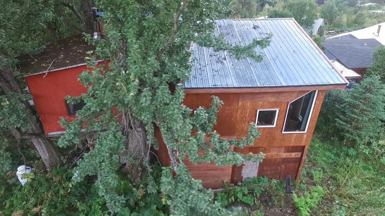 Vila Cottonwood Cabins Fritz Creek Exteriér fotografie