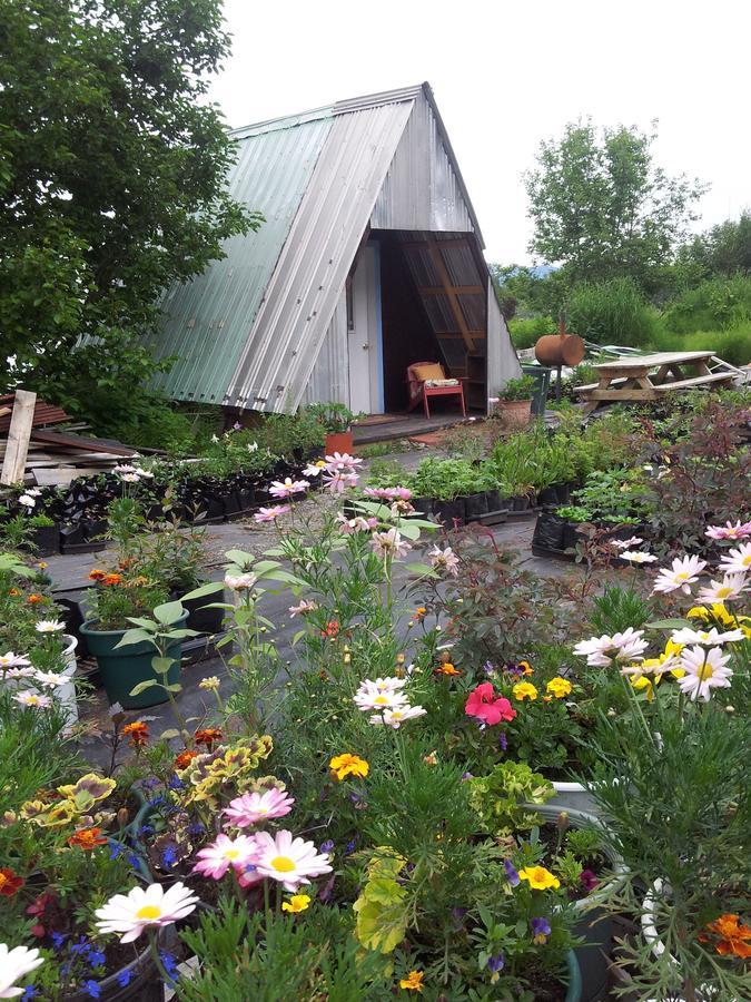 Vila Cottonwood Cabins Fritz Creek Exteriér fotografie